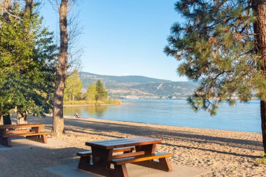 4 Eylül 2019 - Summerland, British Columbia / Canada: Popüler bir halk parkı olan Sun Oka İl Parkı 'nda kumlu plaj, gölge ağaçlar ve piknik masaları manzarası