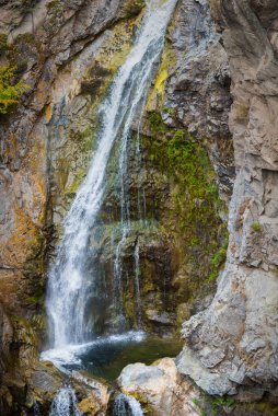 Fintry Provincial Park, BC, Kanada 'daki Short' s Creek Vadisi 'ndeki şelale ve havuza yakın çekim