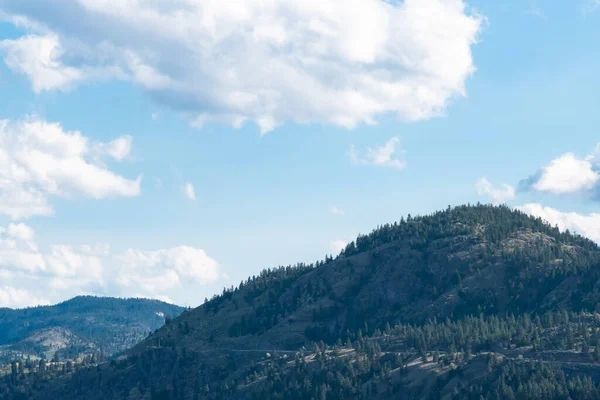 Waldgipfel Vor Blauem Himmel Und Wolken Sonnigen Tag Okanagan Tal — Stockfoto