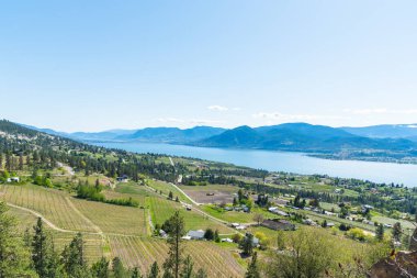 İlkbaharda Narmata Benç üzüm bağlarının panoramik manzarası, Okanagan Gölü ve Okanagan Vadisi