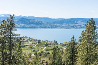 Kettle Vadisi 'nden çam ağaçları, üzüm bağları, dağlar ve Okanagan Gölü manzarası