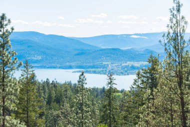 Okanagan Gölü, Okanagan Vadisi ve dağları manzaralı Ponderosa çam ormanı