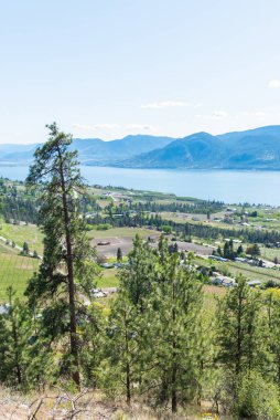 Okanagan Vadisi manzarası, Naramata köyü, Okanagan Gölü, ve mavi gökyüzü olan dağlar.