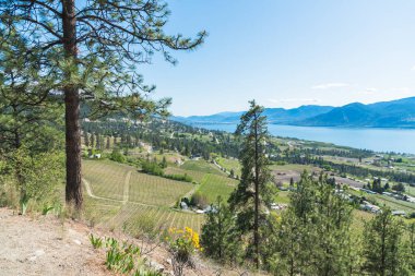 Okanagan Vadisi ve mavi gökyüzü ile Okanagan Gölü 'nün güzel panoramik manzarası