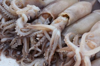 Taze kalamar tepsi üzerinde yatıyordu.