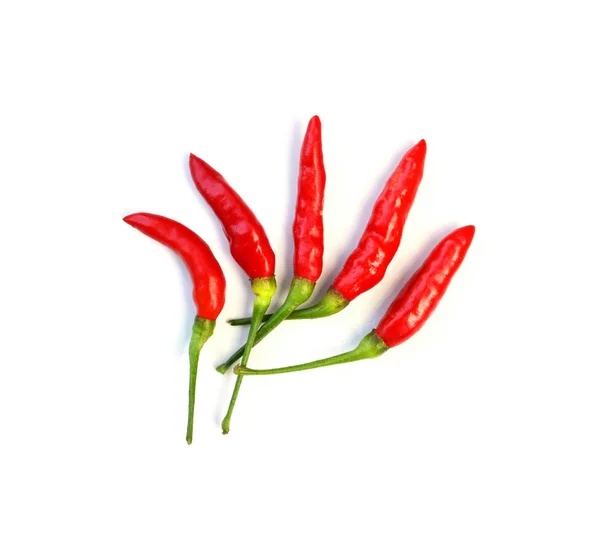 Chili paprika isolerad på vit bakgrund — Stockfoto
