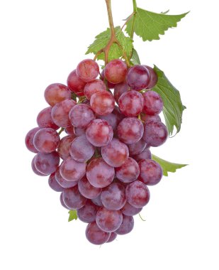 Beyaz zemin üzerinde yaprak izole kırmızı üzüm