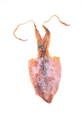 Beyaz arkaplanda kurumuş mürekkep balığı