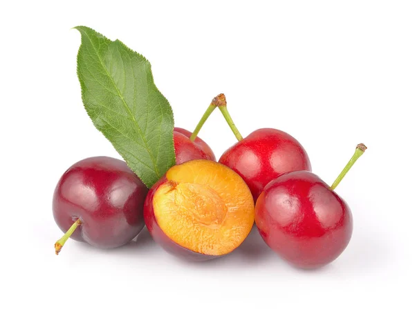 Röd plommon frukt isolerad på vit bakgrund — Stockfoto