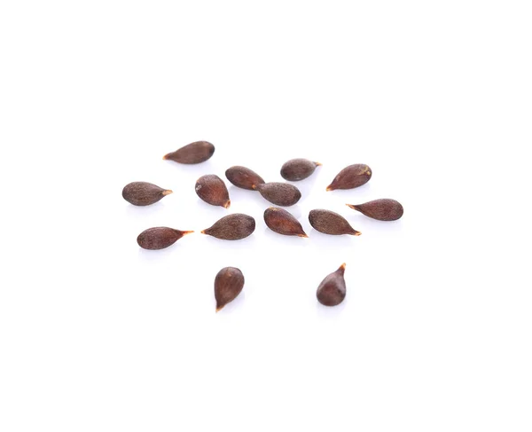 Apple Seeds On White Background — Stock Photo, Image