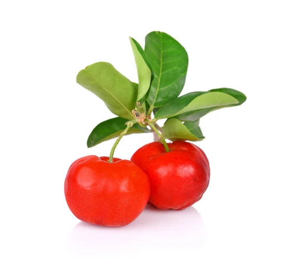 Barbados cherry, Malpighia emarginata, dal centro della Thailandia . — Foto Stock