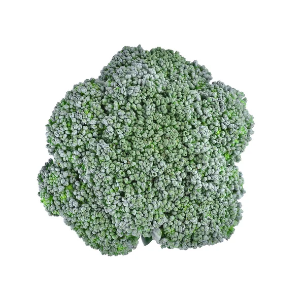 Brócoli aislado sobre fondo blanco — Foto de Stock