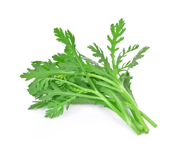 Kasımpatı koronaryumu beyaz arka planda izole edildi