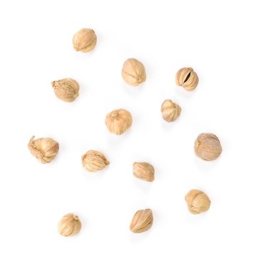 kurutulmuş kakule tohumu üzerine beyaz izole