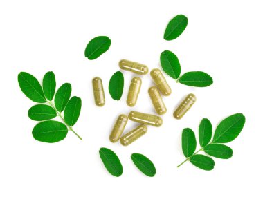 moringa yaprakları beyaz arkaplanda izole edilmiş