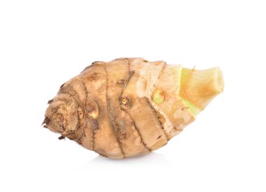 Wan-chak-mot-luk. (Adı Tayland) (Curcuma xanthorrhiza Roxb.).