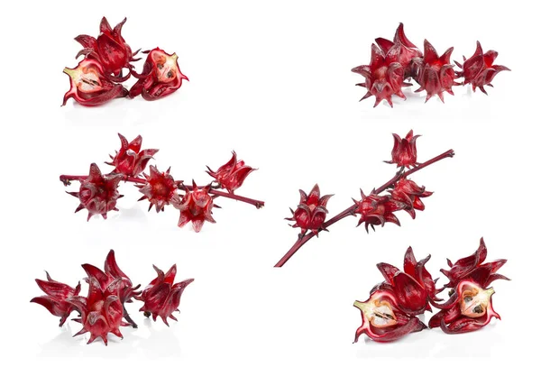 Beyaz arka planda izole edilmiş Roselle meyveleri.