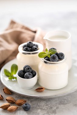 Süt ürünleri hariç. Beyaz arka planda kavanozlarda sebze yoğurdu. Cam kavanozda badem kreması ve hafif tabakta taze yaban mersini ve badem tohumları. Sağlıklı beslenme konsepti. Metin için alanı kopyala