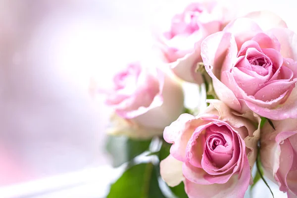 Ροζ τριαντάφυλλα μπουκέτο με ελεύθερο χώρο για κείμενο. αντίγραφο χώρου — Φωτογραφία Αρχείου