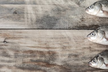 Tahta bir masada çiğ nehir balığı. Kopyalama alanı olan üst görünüm