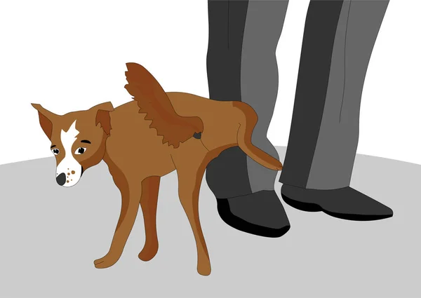 Fräck Och Olydig Hunden Bestämde Sig För Att Kissa Foten — Stock vektor