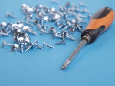 Metal tornavida ve yanında bir sürü vida. Yumuşak odak