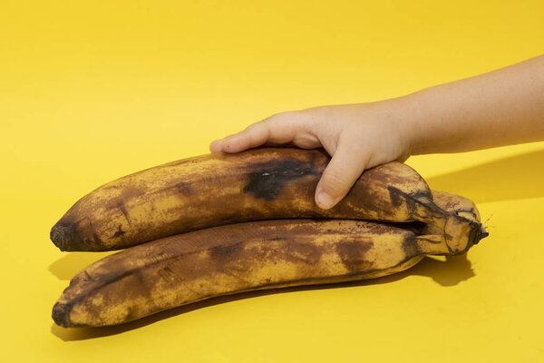 Black spoiled banana in hand. Trendy spoiled organic fruits