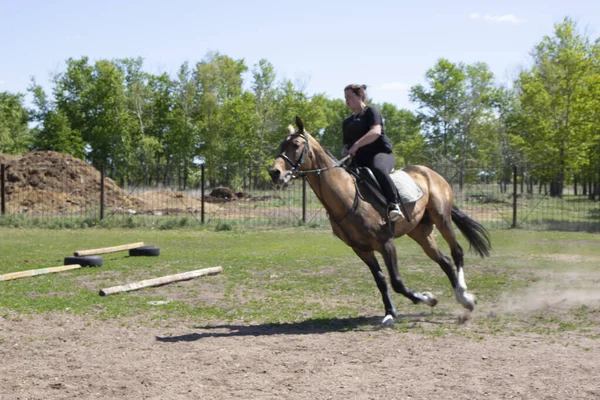 Sportvrouw Een Paard Paardenvrouw Een Rood Paard Equestrianisme Paardrijden Rijder — Stockfoto