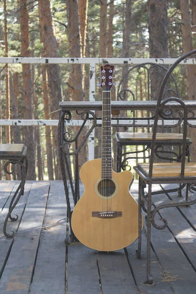 acoustic guitar propped against a tree in the leafy woods, vertical photo