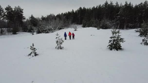 Groupe Touristes Est Sur Piste Vue Arrière — Video