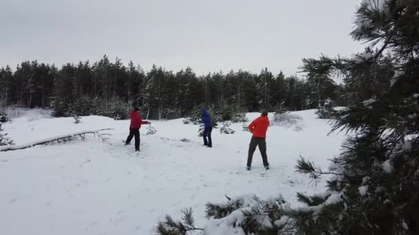 Tres Personas Juegan Bolas Nieve Salida Desde Detrás Árbol Obtener — Vídeo de stock