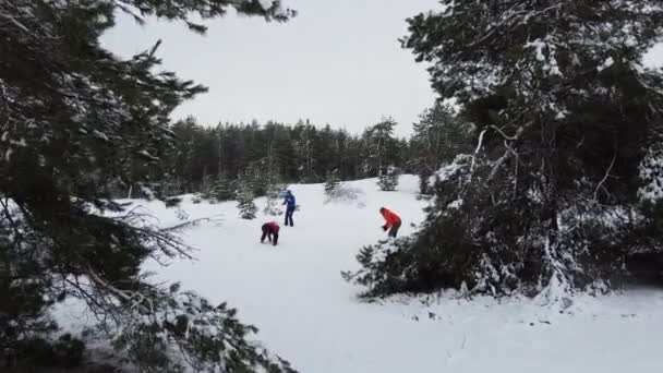 Tre Persone Giocano Palle Neve Estende Tra Rami Vista Laterale — Video Stock