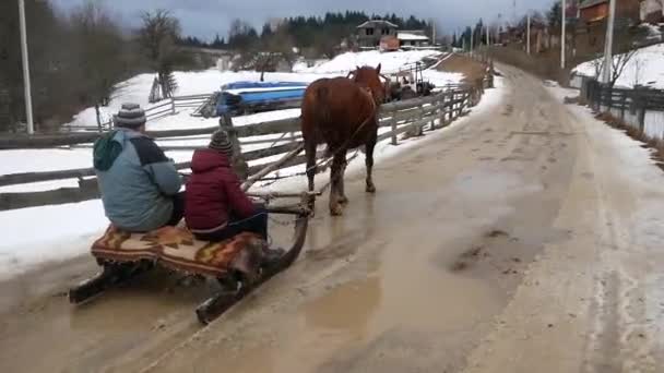 Man Child Riding Sled Which Pulling Horse — Stock Video