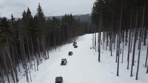 Grupa Suv Jedzie Śnieżną Drogą Sosnowym Lesie Górach — Wideo stockowe