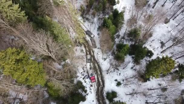 Eine Gruppe Geländewagen Steht Auf Einer Verschneiten Straße Einem Wald — Stockvideo