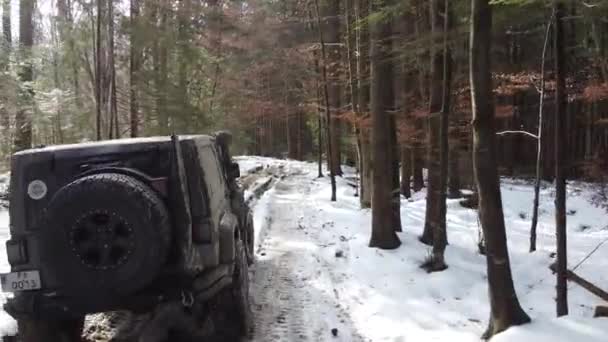 Suv Estão Dirigindo Road Uma Floresta Nevada — Vídeo de Stock