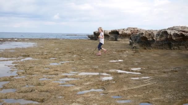 Una Chica Camina Por Costa Rocosa Mira Charcos Busca Algo — Vídeo de stock