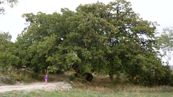 Une Fille Court Long Chemin Pour Regarder Vieux Chêne Qui — Video