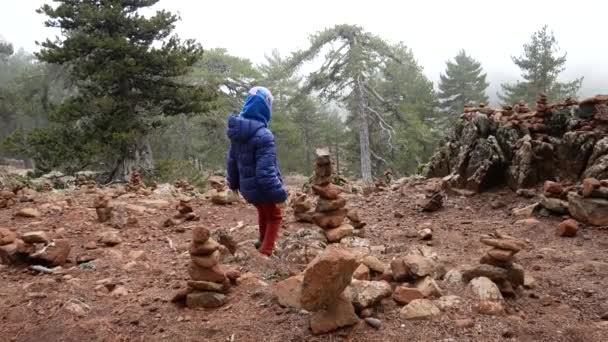 Een Meisje Wandelt Tussen Stenen Rondleidingen Gelegd Door Toeristen Berg — Stockvideo