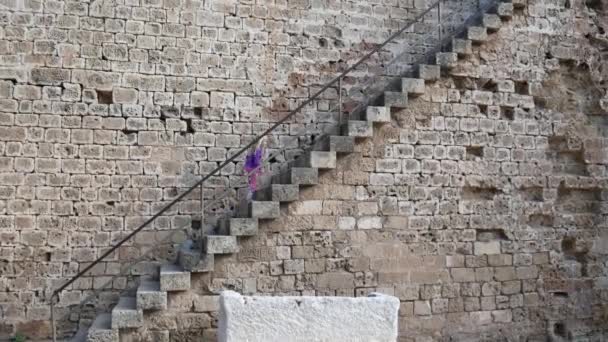 Дівчинка Підіймається Сходами Оглядової Палуби Старовинної Споруди Фортеця Фамагуста — стокове відео