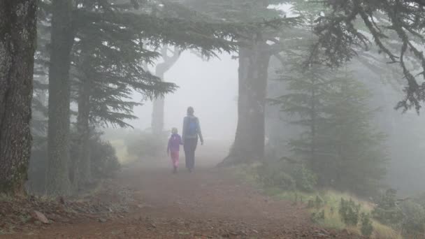 Paseo Familiar Través Misterioso Bosque Niebla — Vídeos de Stock