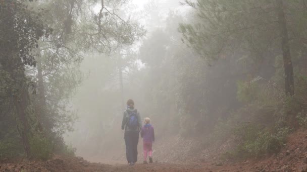 Mam Dochter Lopen Een Bospad Het Uitzicht Verduisterd Door Mist — Stockvideo