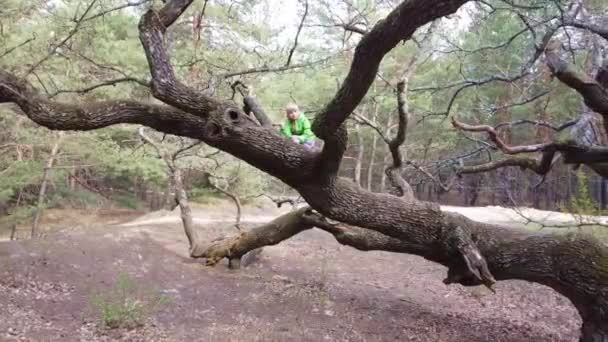 Girl Sits Branches Large Tree Waves Hand — Stock Video
