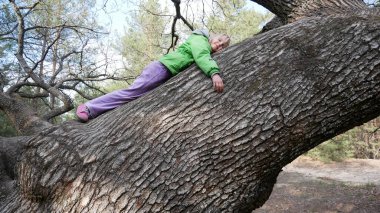 Çocuk ormandaki kalın bir ağaçta yatıyor. Meşe