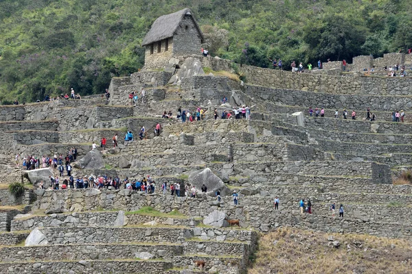 Los turistas caminan en el sitio de Machu Picchu — Foto de Stock