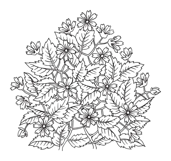 Beyaz arkaplanda el çizimi çiçekler