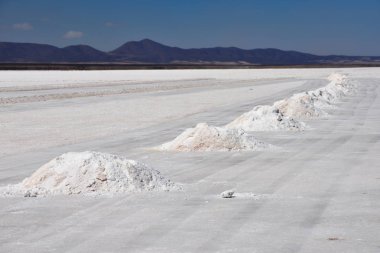 Salar de Uyuni, Bolivya