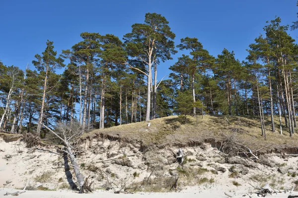 Natural erosion shore — Stock Photo, Image