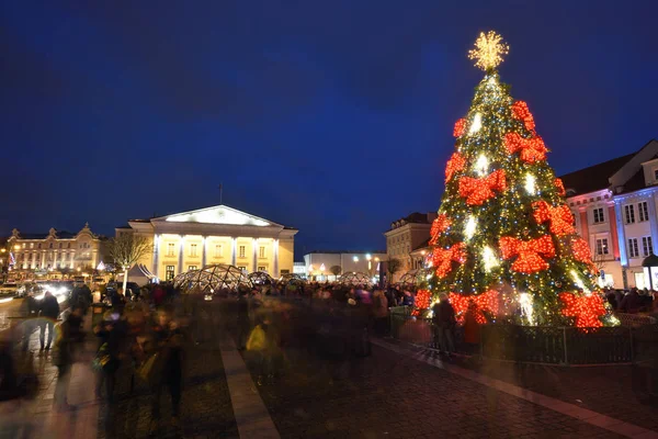 Julgran i vilnius — Stockfoto