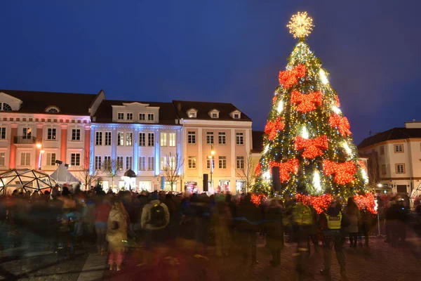 Рождественская елка в Вильнюсе — стоковое фото